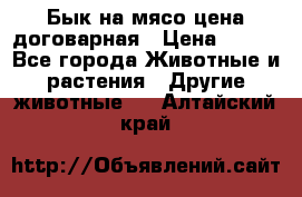 Бык на мясо цена договарная › Цена ­ 300 - Все города Животные и растения » Другие животные   . Алтайский край